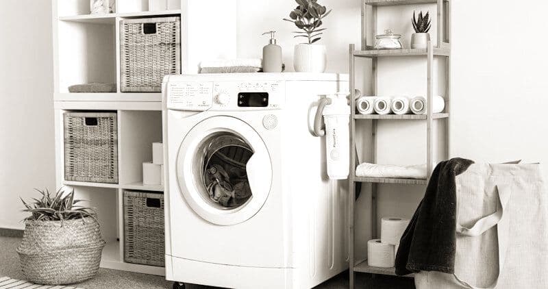 Bosch vs Fisher & Paykel Washer