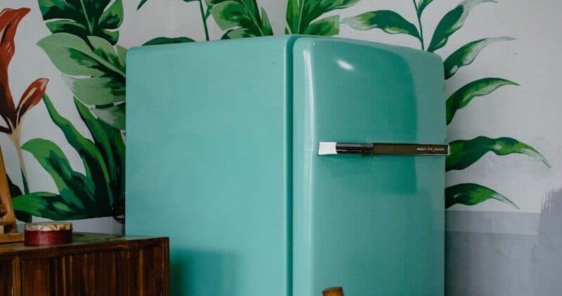 Freezer Leaking from Back: Causes & Cost